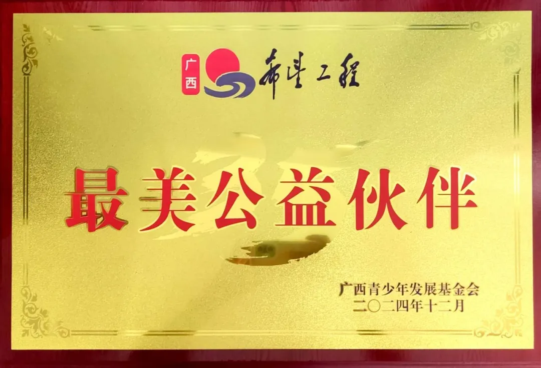最美公益伙伴荣誉
